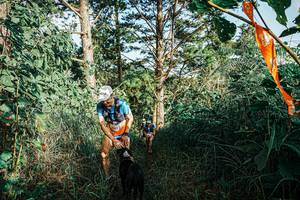 BIB: 
                            <button type="button" onclick="openModal(25658279)" class="btn btn-primary btn-sm float-right btn-popup" data-toggle="modal" data-target=".modal-high-quality">
                        <i class="fas fa-shopping-cart"></i> Add to Cart
                    </button>
                                            <button type="button" onclick="isThisMe(25658279, true)" class="btn btn-success btn-sm float-right btn-popup btn-isme hidden" data-toggle="tooltip" data-placement="bottom" title="นี่คือรูปของคุณใช่ไหม คลิกที่นี่เพื่อเอาเข้าอัลบั้ม">
                        <i class="fas fa-plus"></i> Add to album
                    </button>
                    <button type="button" onclick="isThisMe(25658279, false)" class="btn btn-warning btn-sm float-right btn-popup btn-isnotme hidden">
                        <i class="fas fa-ban"></i> Remove from album
                    </button>